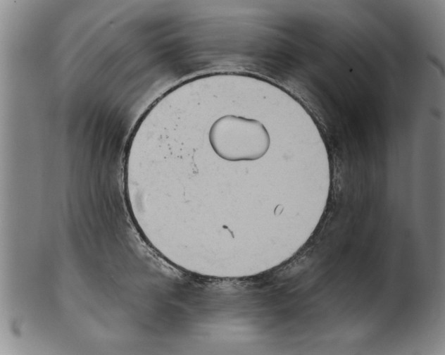 X0000101950950200808081502