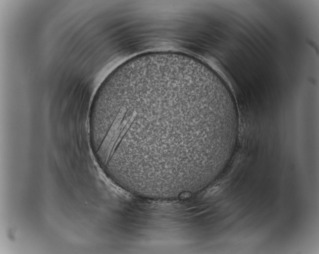 X0000101950951200808081503