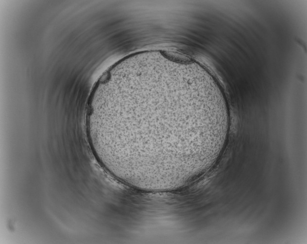 X0000101950952200808081503