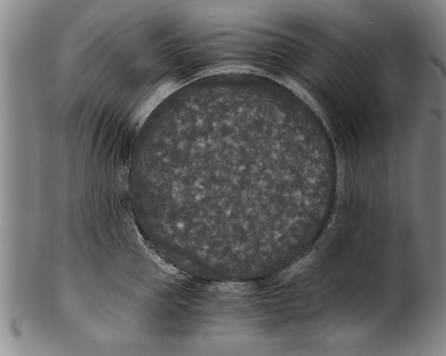 X0000101950953200808081503