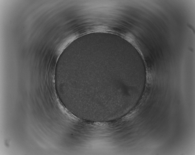 X0000101950954200808081503
