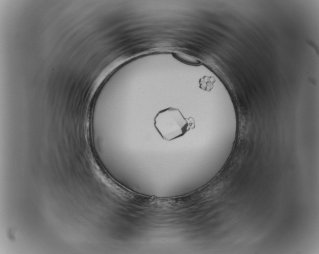 X0000101950955200808081503