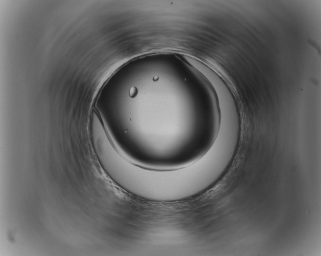 X0000101950956200808081503