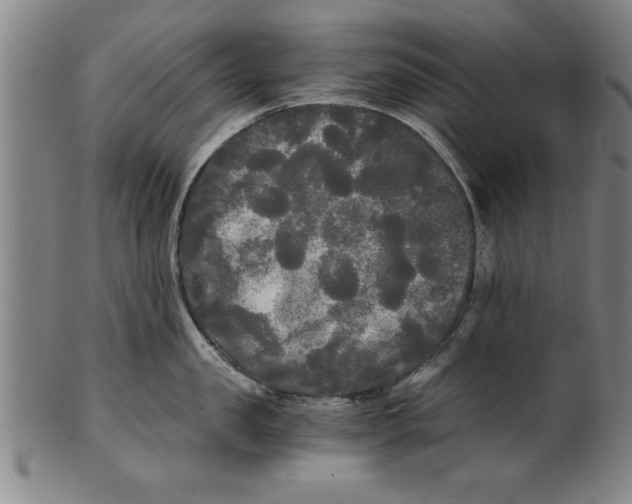 X0000101950957200808081503