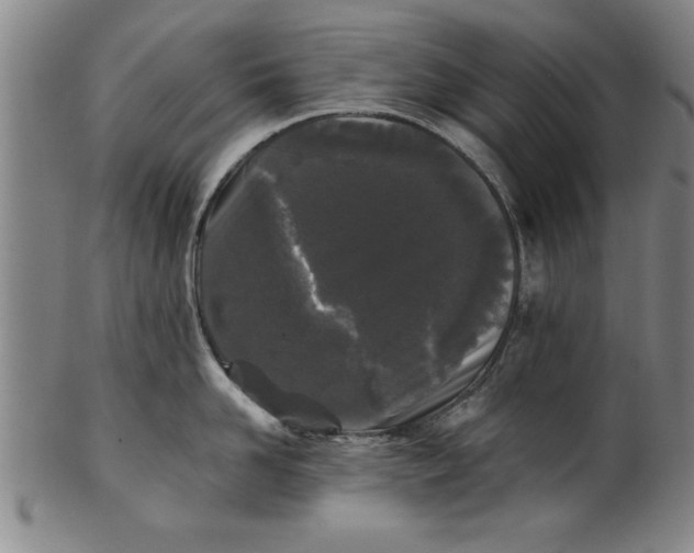 X0000101950958200808081503