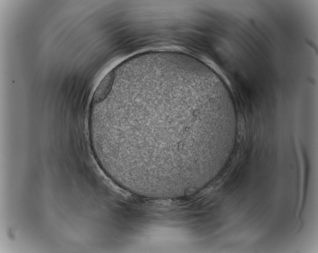 X0000101950959200808081503