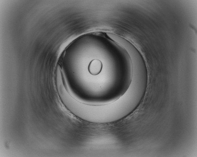 X0000101950960200808081503