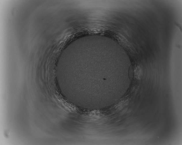X0000101950961200808081502