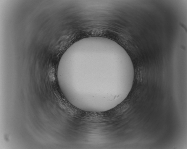X0000101950962200808081502