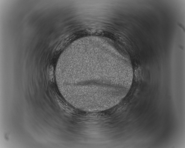 X0000101950963200808081502