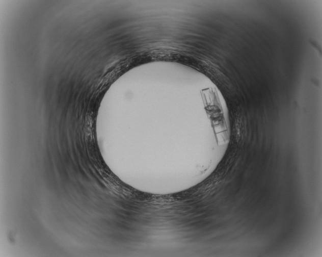 X0000101950964200808081502