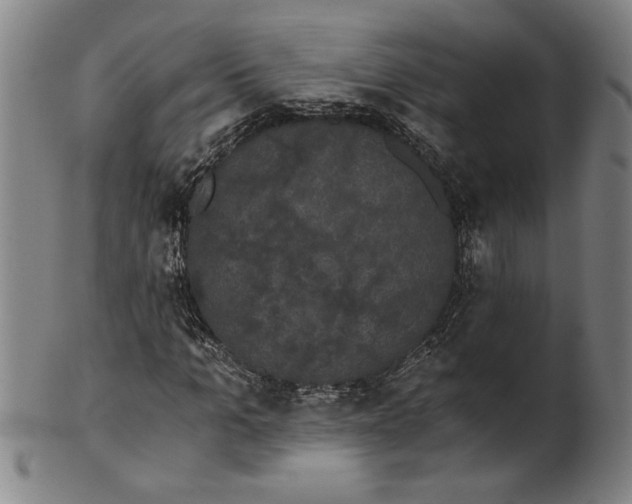 X0000101950965200808081502