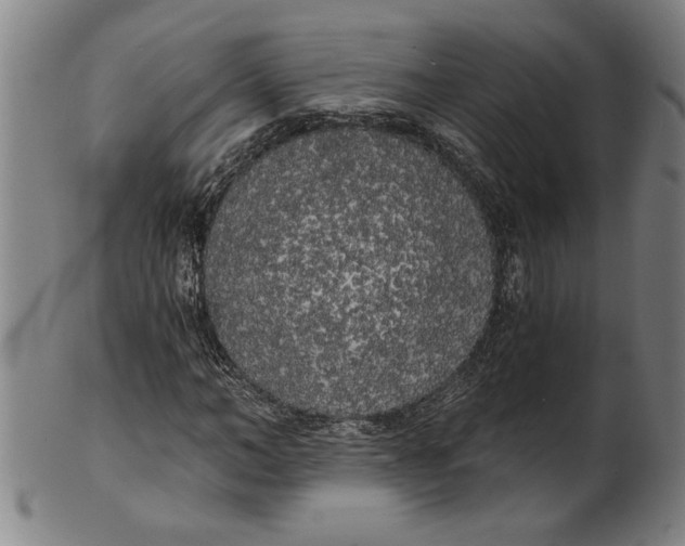 X0000101950966200808081502