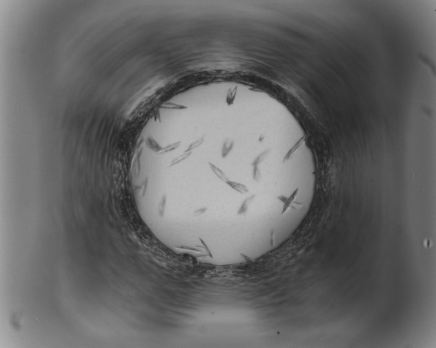 X0000101950967200808081502