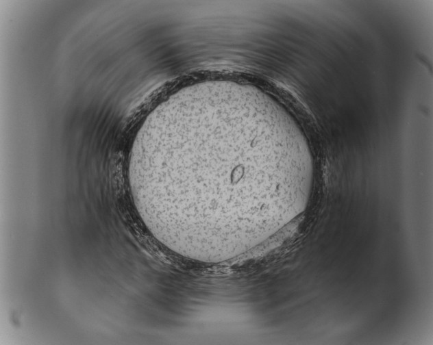 X0000101950968200808081502