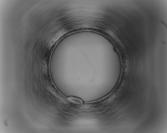 X0000101950969200808081502