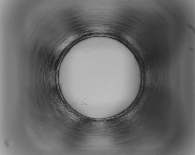 X0000101950970200808081502