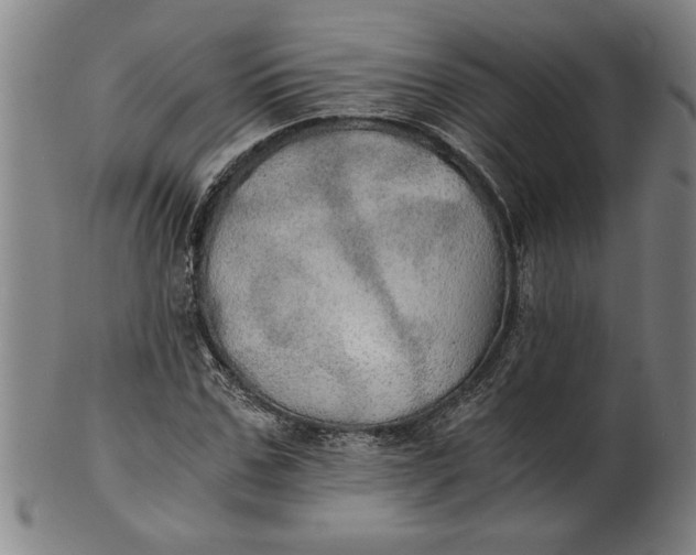 X0000101950971200808081502