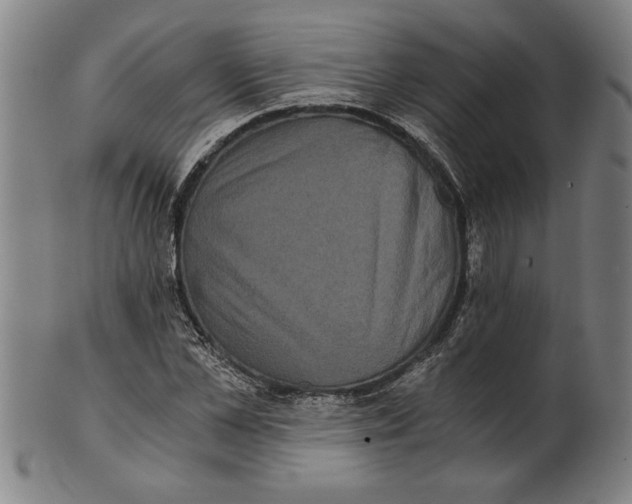 X0000101950973200808081502