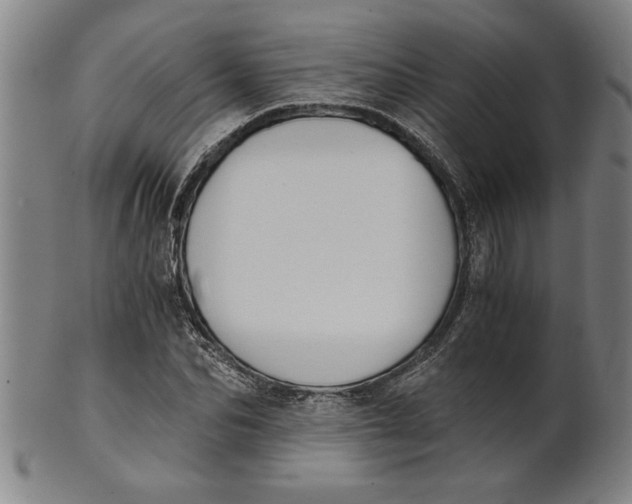X0000101950974200808081502