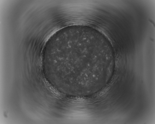 X0000101950975200808081502