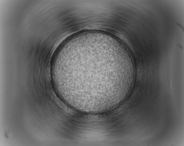 X0000101950976200808081502