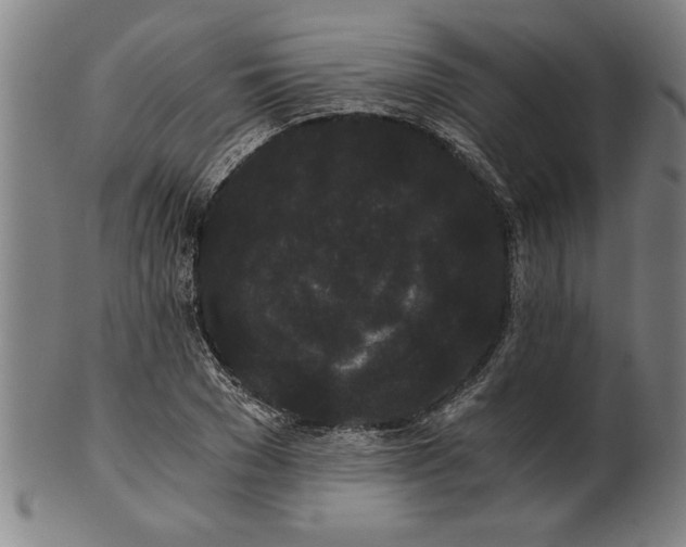 X0000101950977200808081502