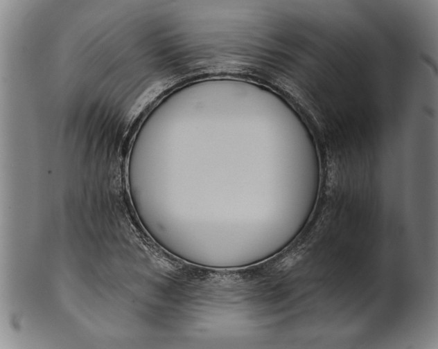 X0000101950978200808081502