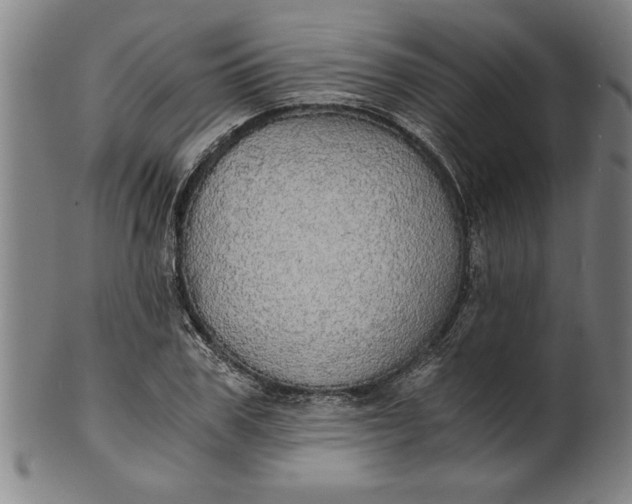 X0000101950979200808081502