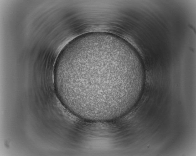 X0000101950980200808081502