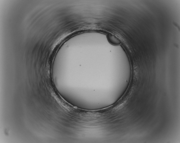 X0000101950981200808081502