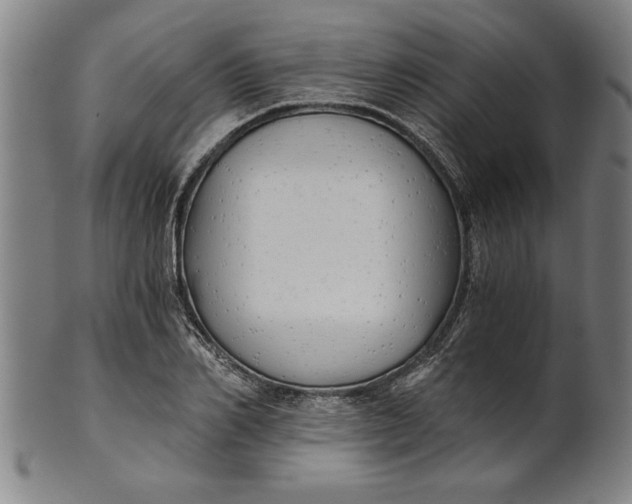 X0000101950982200808081502