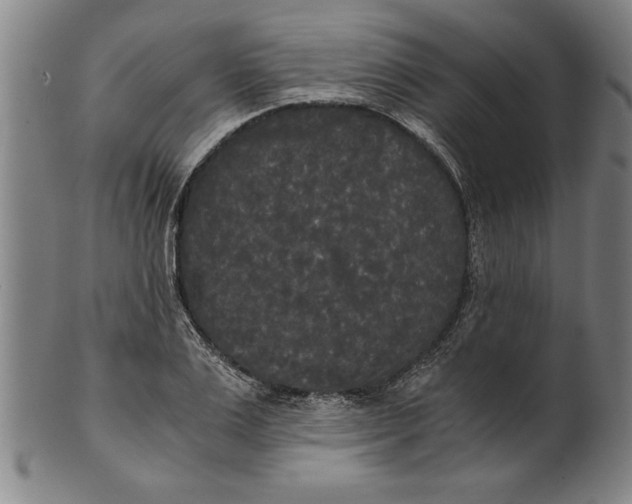 X0000101950983200808081502