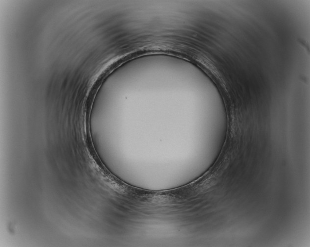 X0000101950984200808081502