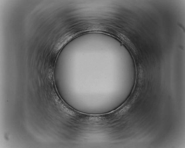 X0000101950985200808081502