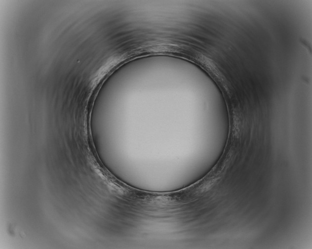 X0000101950986200808081502