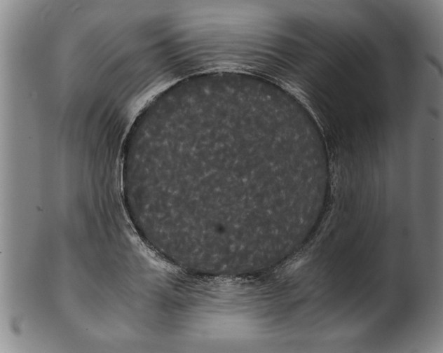 X0000101950987200808081502
