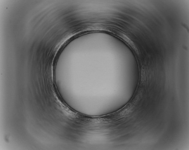 X0000101950988200808081502