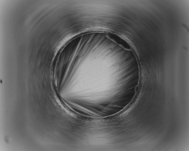 X0000101950989200808081502