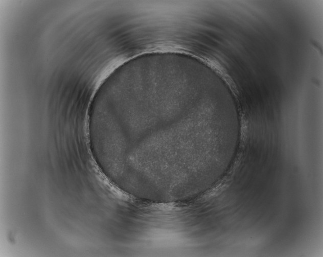 X0000101950990200808081502