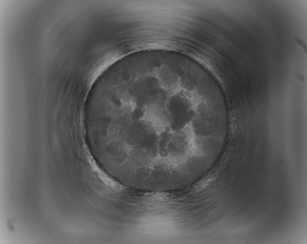 X0000101950991200808081502