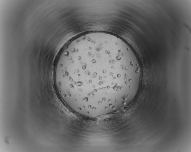 X0000101950992200808081502
