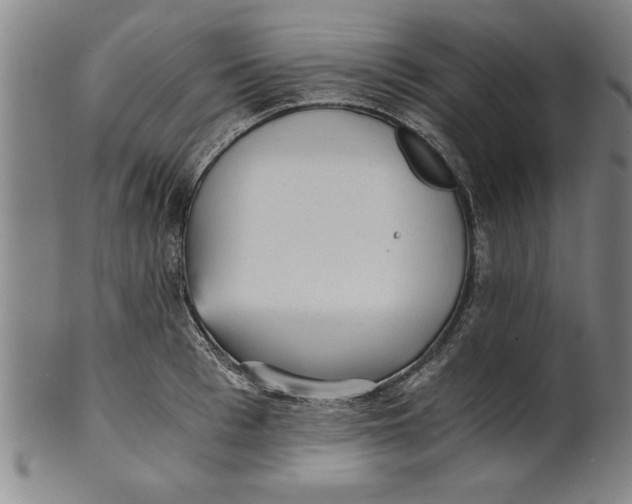 X0000101950993200808081502
