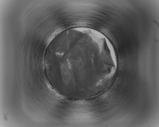 X0000101950994200808081502