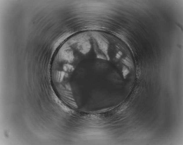 X0000101950995200808081501