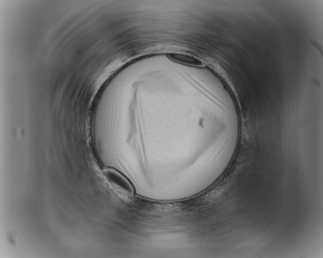 X0000101950997200808081501