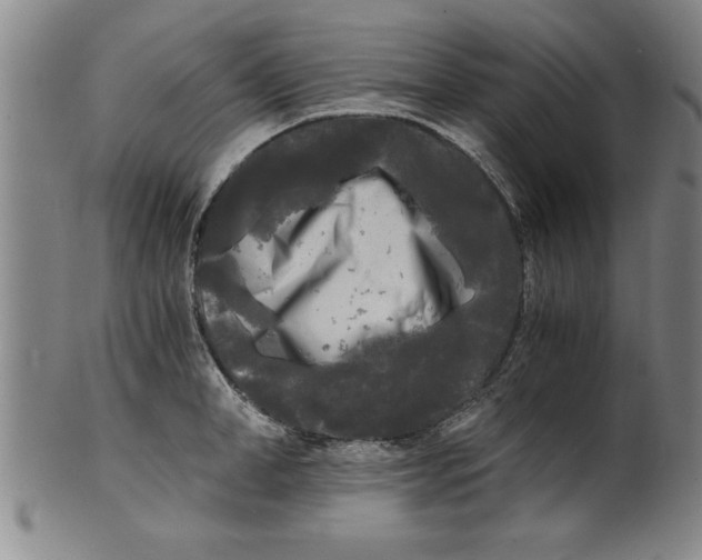 X0000101950998200808081501
