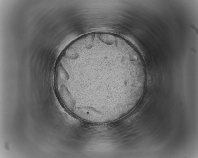 X0000101950999200808081501