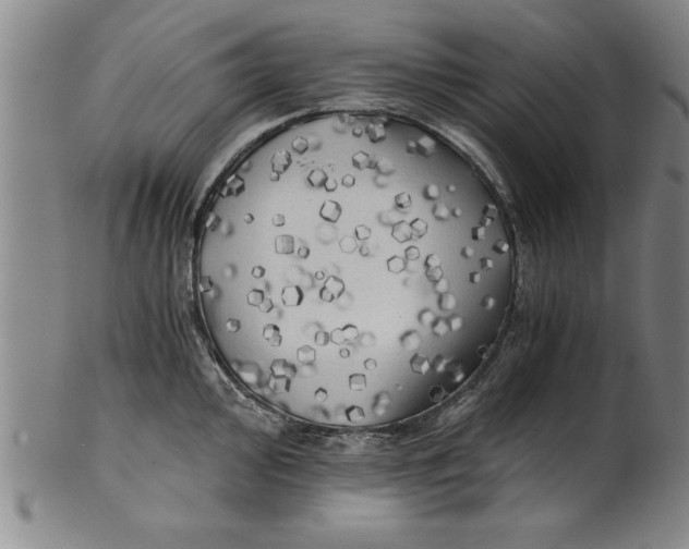 X0000101951000200808081501