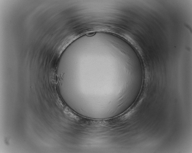 X0000101951001200808081501
